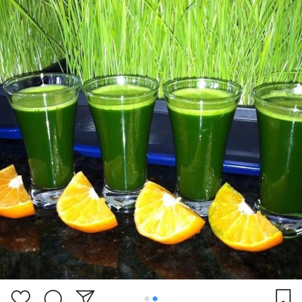 Meet your Posher, Maya